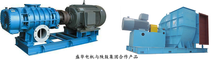 高效節(jié)能電機(jī),山東電機(jī)廠,電機(jī)生產(chǎn)廠家.盛華電機(jī),風(fēng)機(jī)專用電機(jī)