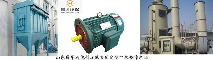 山東電機(jī)廠,環(huán)保設(shè)備專用電機(jī),電機(jī)定制