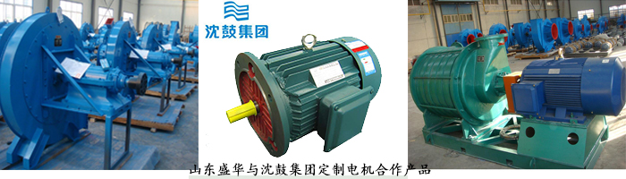 山東電機廠,風(fēng)機專用電機,電機定制