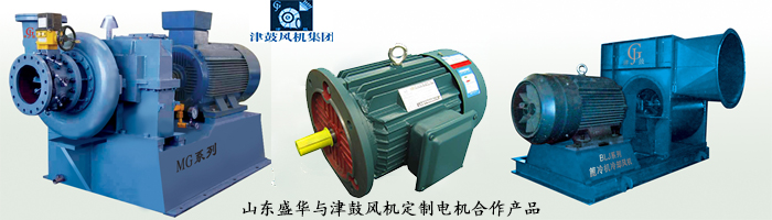 山東電機廠,風機專用電機,電機定制