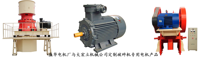 山東電機(jī)廠,破碎機(jī)專(zhuān)用電機(jī),電機(jī)定制