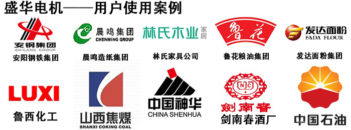 山東盛華電機(jī)生產(chǎn)廠家,高效節(jié)能電機(jī),變頻調(diào)速電機(jī)