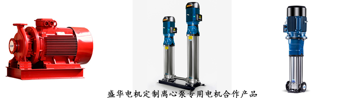 山東盛華電機生產(chǎn)廠家,離心泵專用電機,電機定制