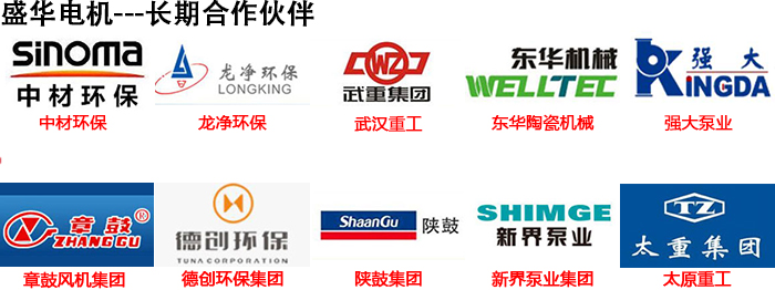 山東盛華電機(jī)生產(chǎn)廠家,電機(jī)保養(yǎng)