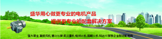 山東電機廠,山東電機生產(chǎn)廠家,防爆電機