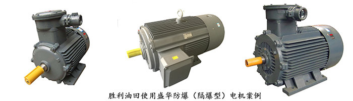 大功率防爆電動機 山東電機,山東電機廠,大功率防爆電機,大功率電動機