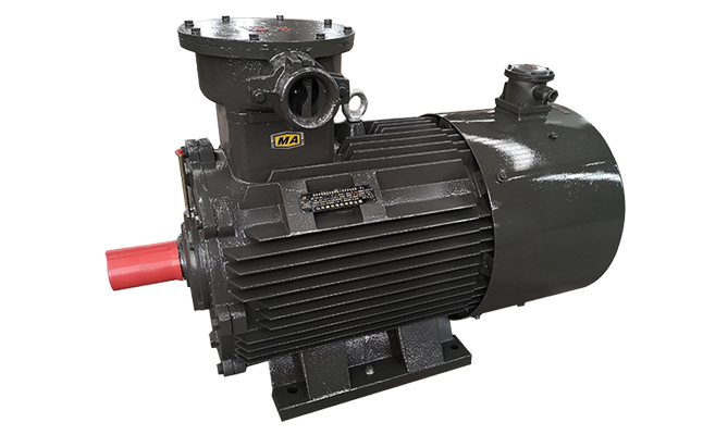 山東電機,聊城電機廠家,變頻電機,防爆電機,變頻防爆電機