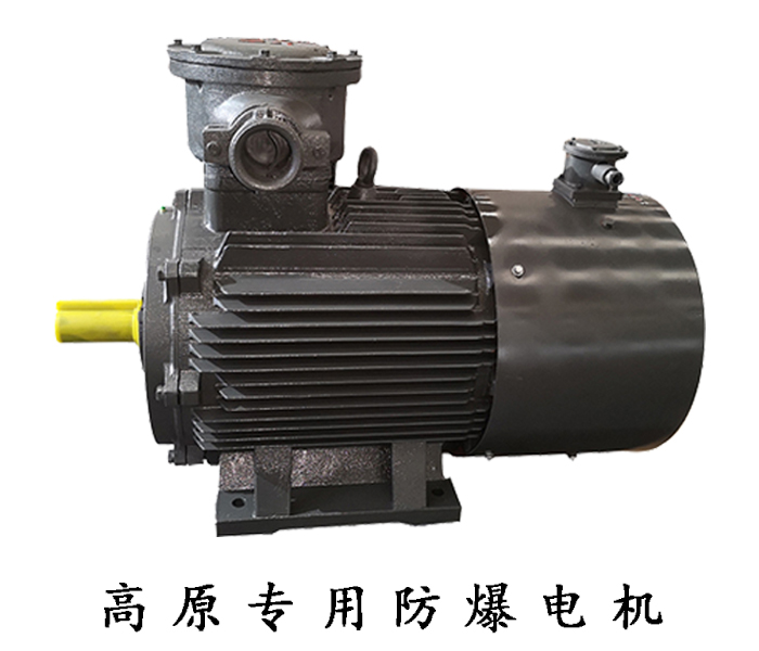 高原專用防爆電機 高原專用防爆電機