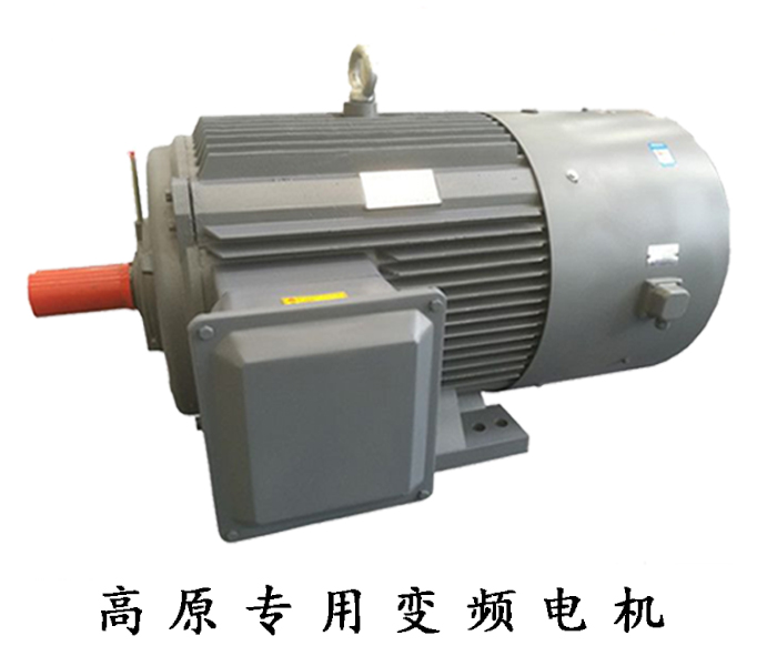 高原專用變頻電機 高原專用變頻電機