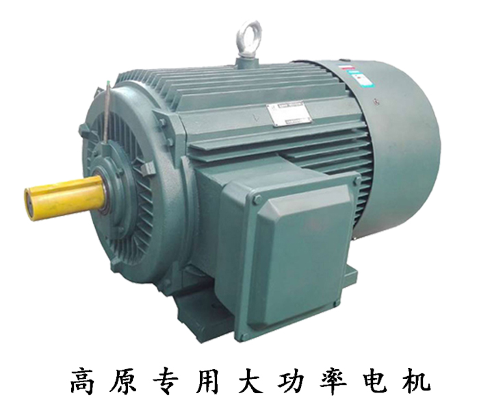 高原專用大功率電機 高原專用大功率電機