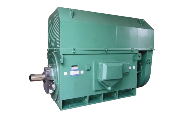 山東電機(jī)廠,山東電機(jī)廠家,大功率電動(dòng)機(jī)