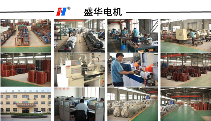 山東電機(jī)廠,電機(jī)廠家,大功率電機(jī),盛華電機(jī)