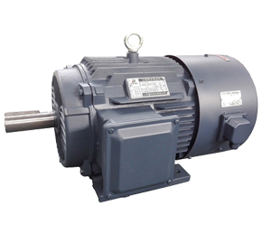 山東電機(jī)廠(chǎng)-變頻電機(jī)