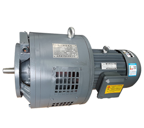 環(huán)保設(shè)備專(zhuān)用電磁調(diào)速電機(jī) 環(huán)保設(shè)備專(zhuān)用電磁調(diào)速電機(jī)