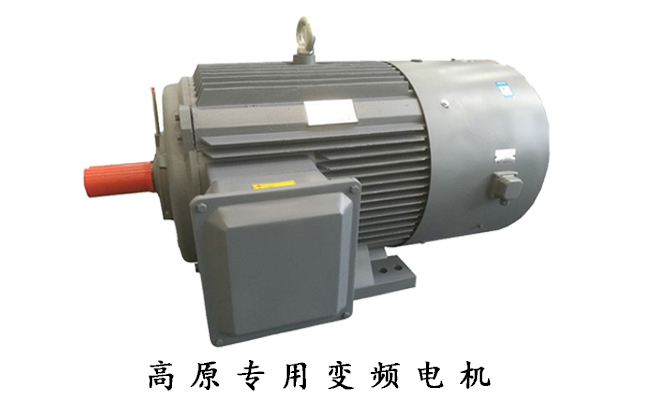 山東電機(jī)廠,盛華電機(jī),變頻電機(jī),變頻調(diào)速電動(dòng)機(jī)