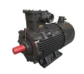 隔爆型變頻電機 隔爆型變頻電機