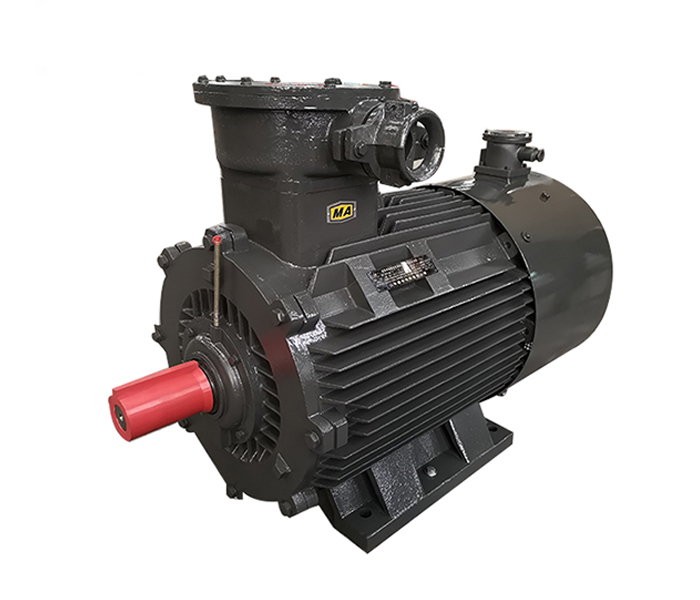 變頻防爆電機(jī),變頻防爆電機(jī)生產(chǎn)廠家,防爆變頻電機(jī),隔爆型變頻電機(jī)