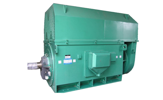 山東電機(jī)廠,大功率電動(dòng)機(jī),高壓電動(dòng)機(jī),大功率高壓電動(dòng)機(jī)