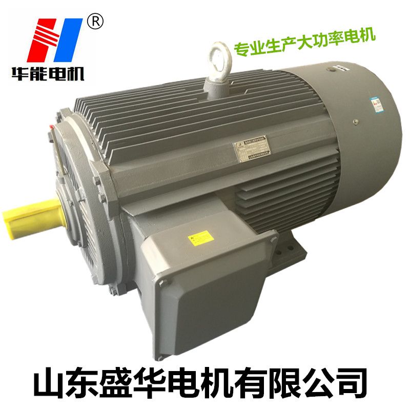 山東電機(jī)廠,電機(jī)生產(chǎn)廠家,大功率電機(jī)