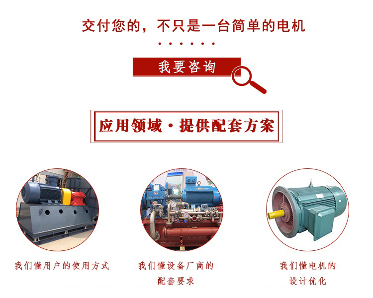 山東電機(jī),電機(jī)生產(chǎn)廠家,三相電機(jī),電動(dòng)機(jī)