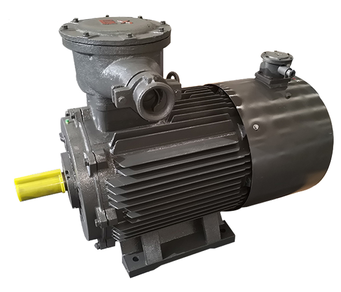 臨清電機(jī)廠,電機(jī)生產(chǎn)廠家,大功率電機(jī)