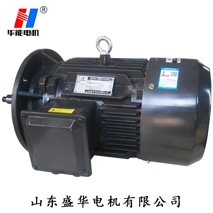 山東電機廠,盛華電機,耐高溫電動機,三相異步電機