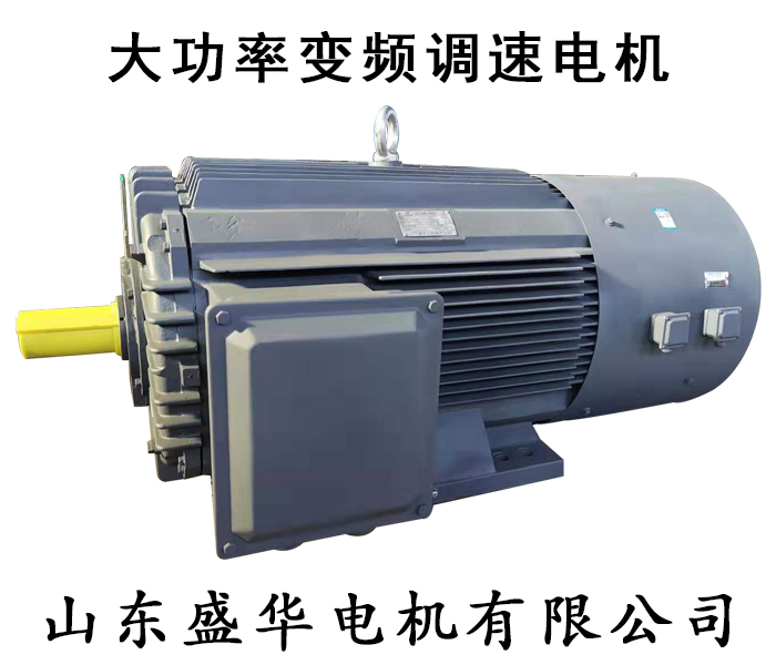 山東盛華-大功率電機(jī)