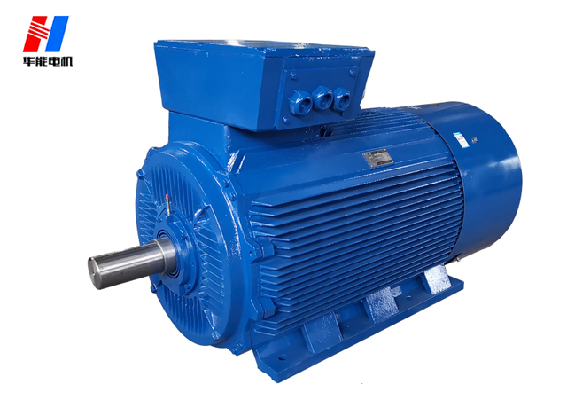 山東盛華-大功率高壓電動(dòng)機(jī)