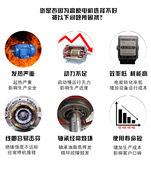 山東高原電機廠-高原專用變頻電機
