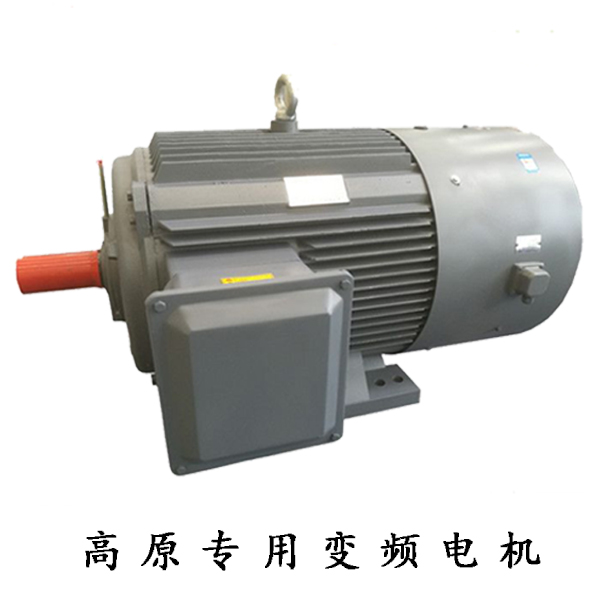 GYP高原專用變頻電機