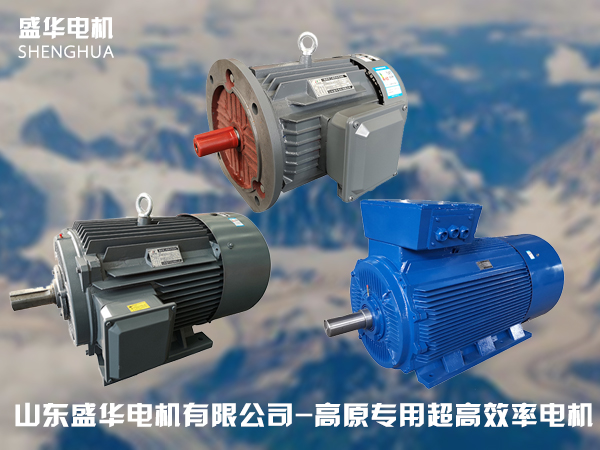 山東高原電機(jī)廠-高原專用電機(jī) 山東高原電機(jī)廠-高原專用電機(jī)