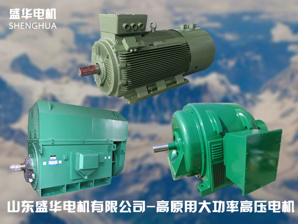 山東高原電機(jī)廠-高原專用高壓電機(jī) 山東高原電機(jī)廠-高原專用高壓電機(jī)