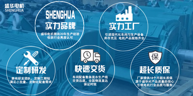 山東盛華電機(jī)生產(chǎn)廠家