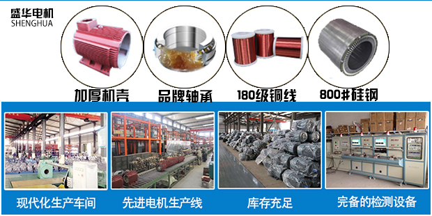 山東電機(jī)廠-變頻電機(jī)