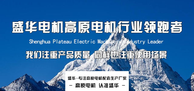 山東高原電機廠家淺談高原電機性能的特殊性