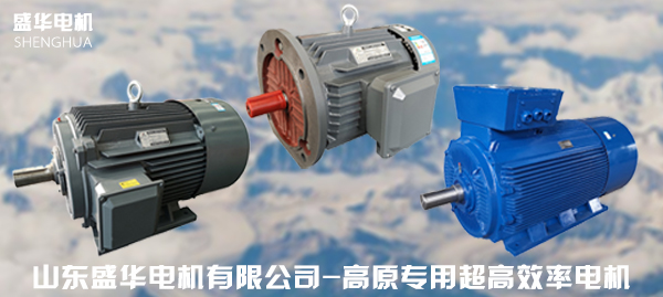 山東電機廠家,高原電機廠家,高原電機廠